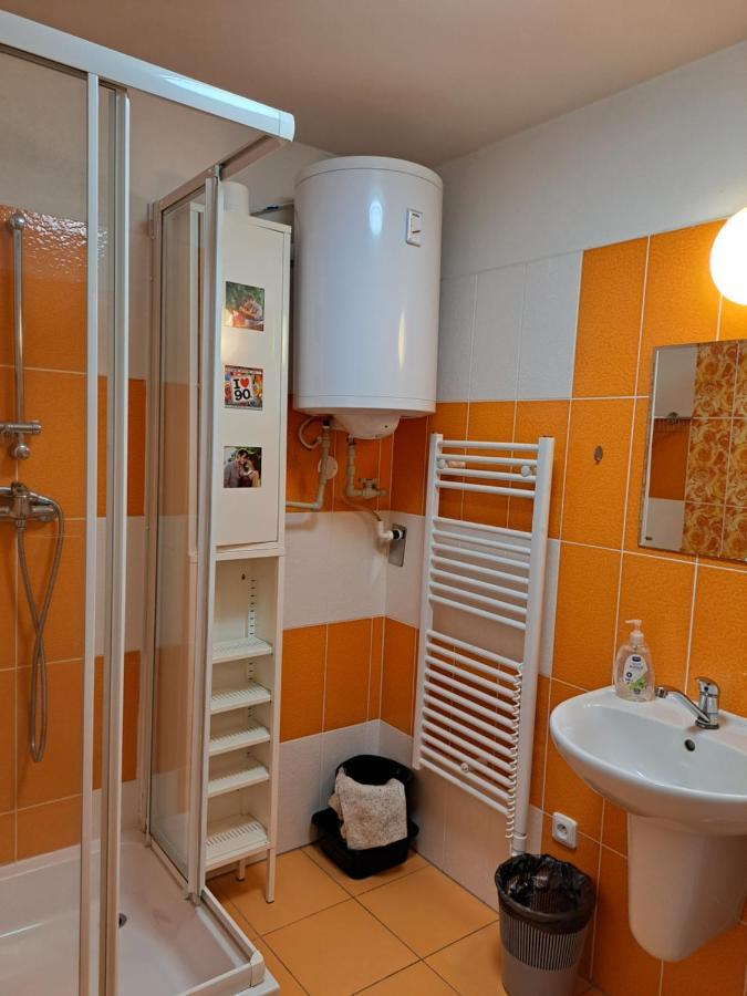 Apartman Max Lipno 리프노나드비타보브 외부 사진